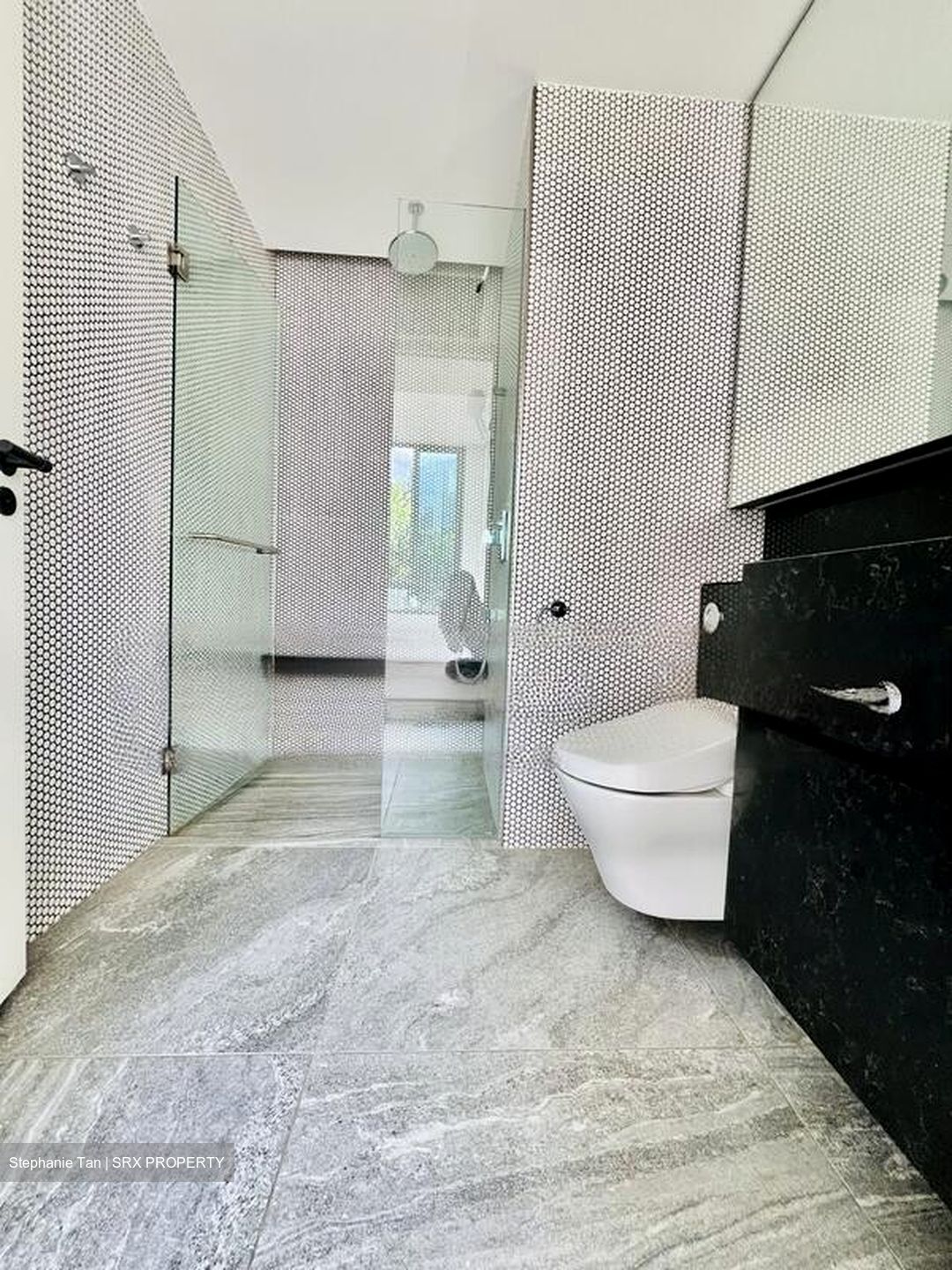 10 Evelyn (D11), Apartment #450472371